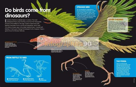 Infografía ¿descienden Las Aves De Los Dinosaurios? | Infographics90