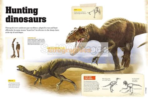 Infografía Dinosaurios Cazadores | Infographics90