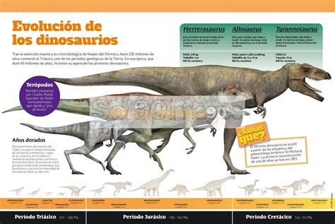 Infografía Evolución De Los Dinosaurios | Infographics90