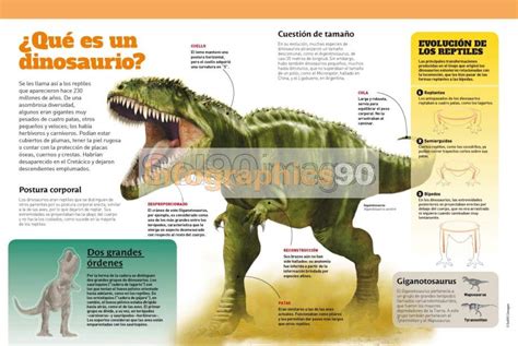 Infografía ¿qué Es Un Dinosaurio? | Infographics90