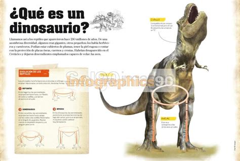 Infografía ¿qué Es Un Dinosaurio? | Infographics90