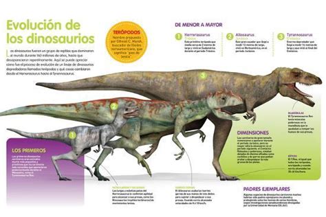 Infografía Que Muestra La Evolución De Los Dinosaurios a ...