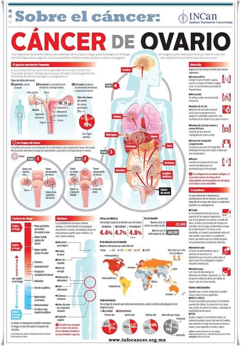 infografía sobre el cáncer de ovario — Steemit