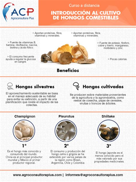Infografía sobre Hongos Comestibles   ACP Agroconsultora ...