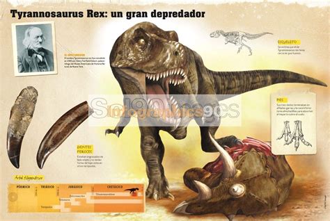 Infografía Tyrannosaurus Rex: Un Gran Depredador | Infographics90