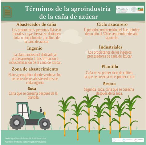 Infografías de la agroindustria de la caña de azúcar ...