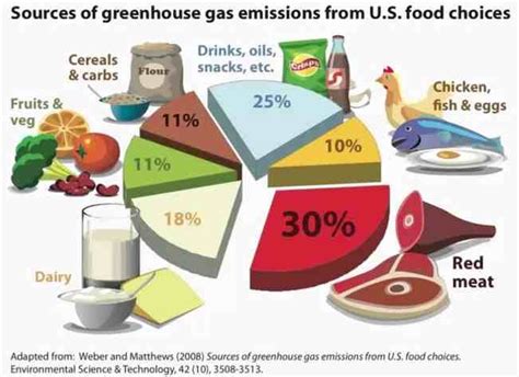 INFOGRAPHIC: Greenhouse Gas Emissions from U.S. Food ...
