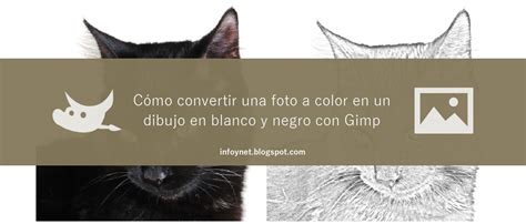InfoNet: Convertir una foto a color en un dibujo en blanco y negro con Gimp