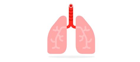 Información básica sobre el cáncer de pulmón