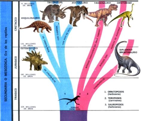 Información de dinosaurios: Imágenes, Infografías y cuadros sinópticos ...