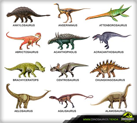 Informacion De Dinosaurios Para Ninos   SEONegativo.com