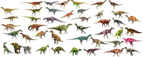 Información, imágenes de Dinosaurios y dibujos para ...