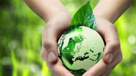 Información sobre el Medio Ambiente: ¿Cómo ayudar desde ...