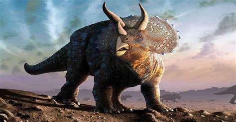 Información sobre Triceratops horridus : dinosaurio con ...