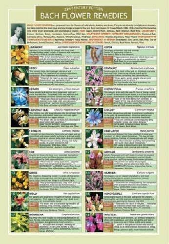 Information Chart, Two Sided Color   Bach Flower Remedies ...