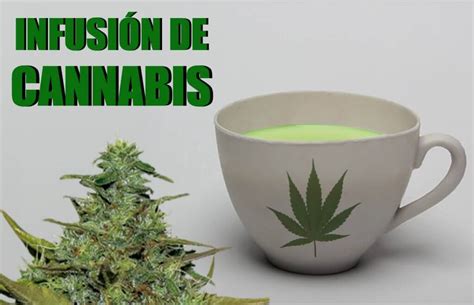 Infusión de Marihuana    Receta con cannabis  MEJOR IMPOSIBLE