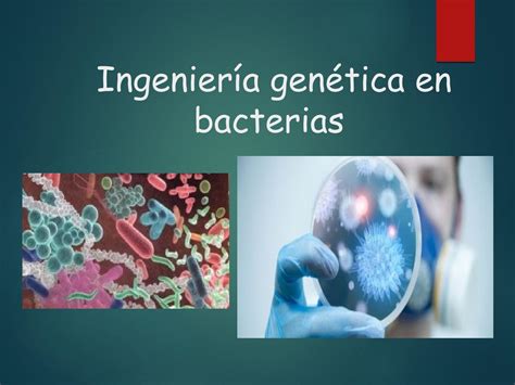 Ingeniería genética en bacterias, levaduras y hongos by paulinapelaez27 ...