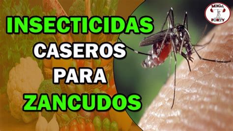 Insecticida Casero Para Eliminar Los Zancudos | Repelente de mosquitos ...