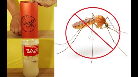 insecticida casero para mosquitos   YouTube