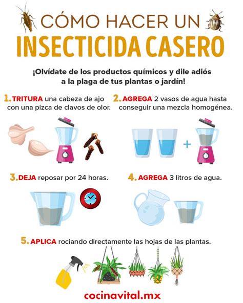 Insecticidas caseros para eliminar la plaga de tus plantas ...