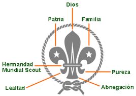 insignias scouts especialidades   DIOS .PATRIA Y FAMILIA | Insignias ...