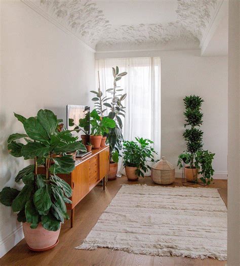 Inspírate decorando con plantas de interior como las ...