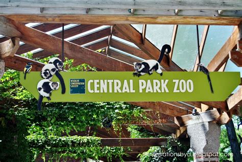 Inspirations by D: Central Park Zoo in New York