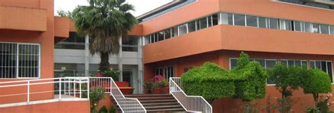 Instituto de Psicología y Educación