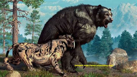 Interesante informe sobre la extinción de la “megafauna” en la ...