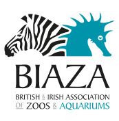 Interim Animal Keeper   Immediate start! | The Living Rainforest | BIAZA