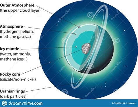 Internal Structure   Uranus Stock Vector   Illustration of science ...