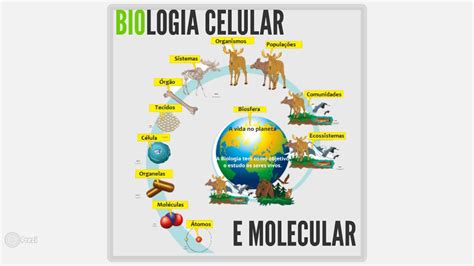 Introdução Biologia celular Aula 01   YouTube