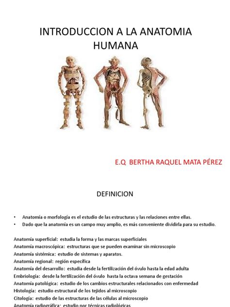 Introduccion a La Anatomia Humana  2  | Términos anatómicos de la ...