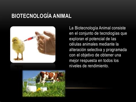 Introduccion a la biotecnologia