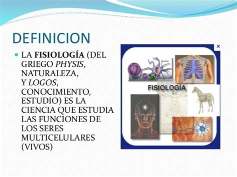 Introduccion a la fisiologia