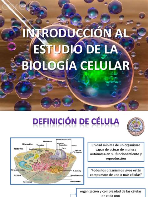 introduccion a la teoria celular.pdf | Mitosis | Mitosis