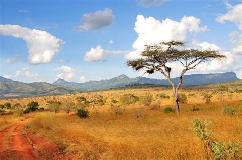 Introduction to Kenya   a brief guide for all travellers!