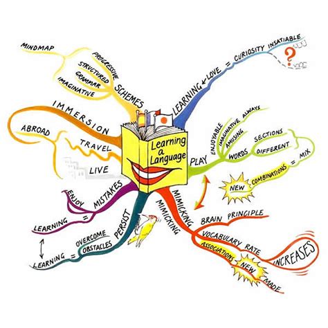Introduction to Mind Maps Online Seminar 25th July   10am