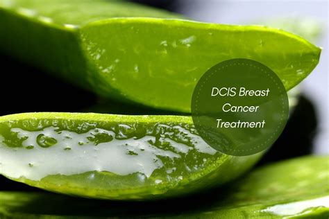 Invasive Ductal Carcinoma In Situ: Treatment For DCIS ...