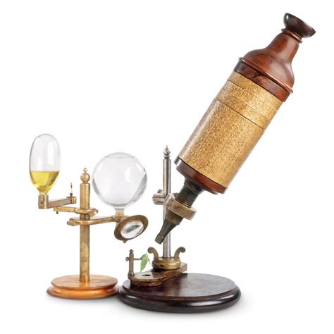 Invention Of The Microscope | Microscope Facts | DK Find Out