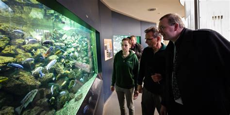 Inventur: Zoo Dresden zählt Tiere und mehr Besucher   Menschen in Dresden