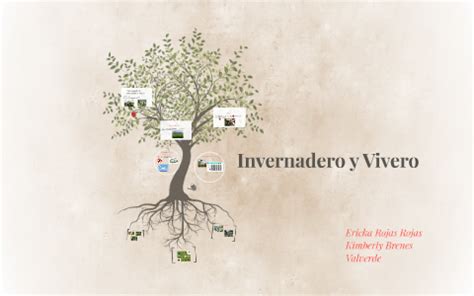 Invernadero y Vivero by Ericka Rojas