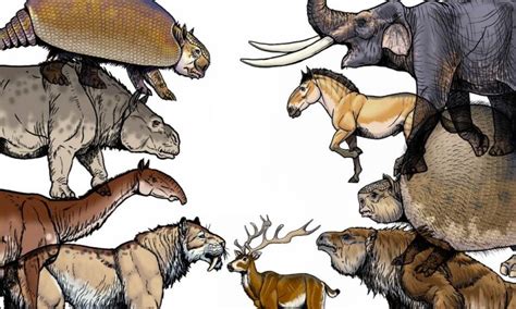 Investigación dice que megafauna se extinguió por depredación humana ...
