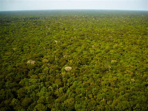 IPAM Amazônia   | Artigo: É possível zerar o desmatamento ...