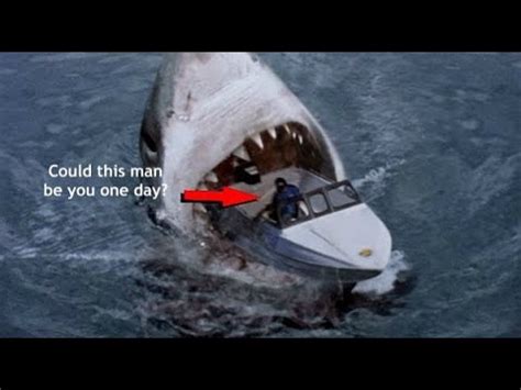 Is It Alive? Megalodon   Caught on Tape   New Documentary ...