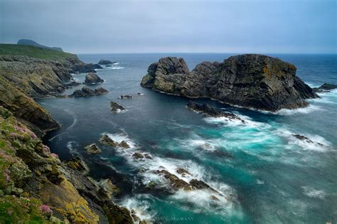 Islas Shetland | Oriol Alamany Imágenes vivas