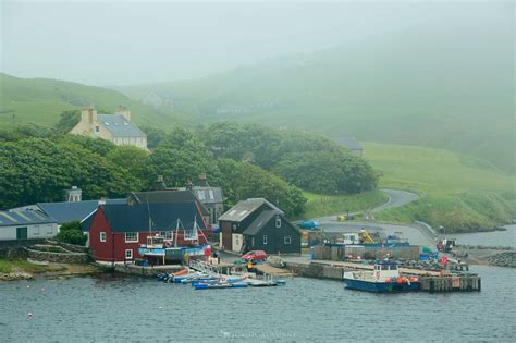 Islas Shetland | Oriol Alamany Imágenes vivas
