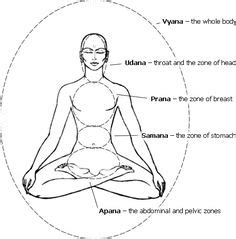 Isn t this a cool image of Yoga beyond the Asanas? Vayus ...