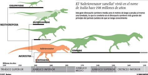 Italia descubre el dinosaurio carnívoro de grandes ...