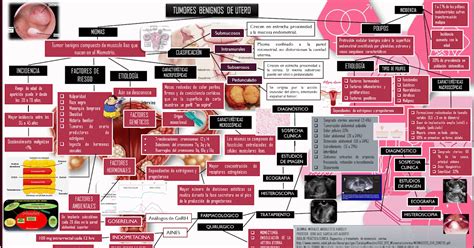 Itzel Morales Angulo Ginecología UAS Enero Mayo 2019: TUMORES BENIGNOS ...